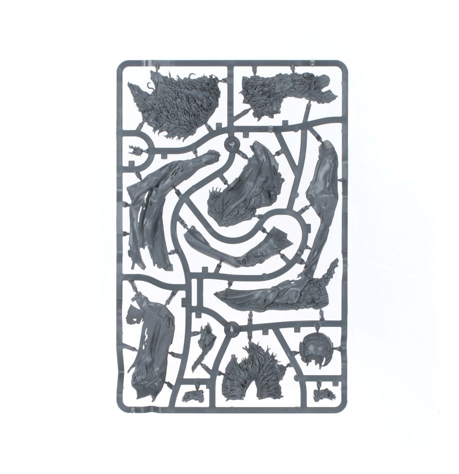 AOS FLESH-EATER COURTS: USHORAN MORTARCH OF DELUSION