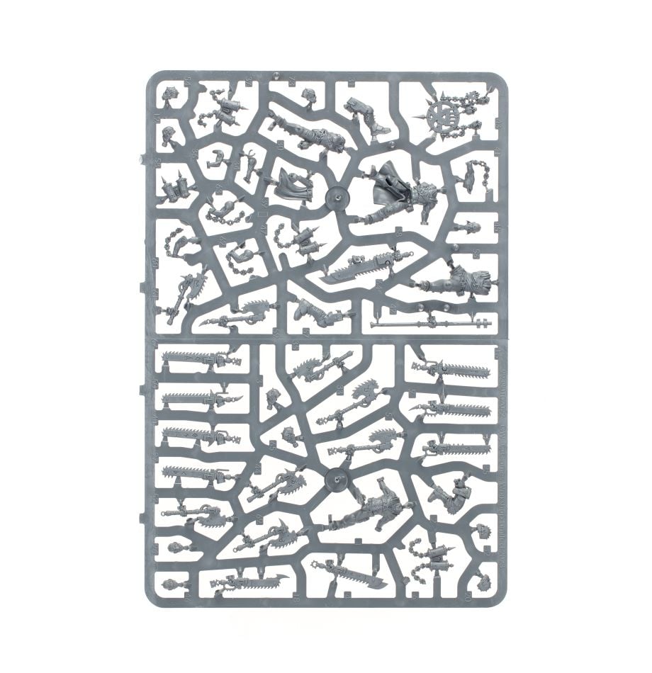 WORLD EATERS: Jakhals