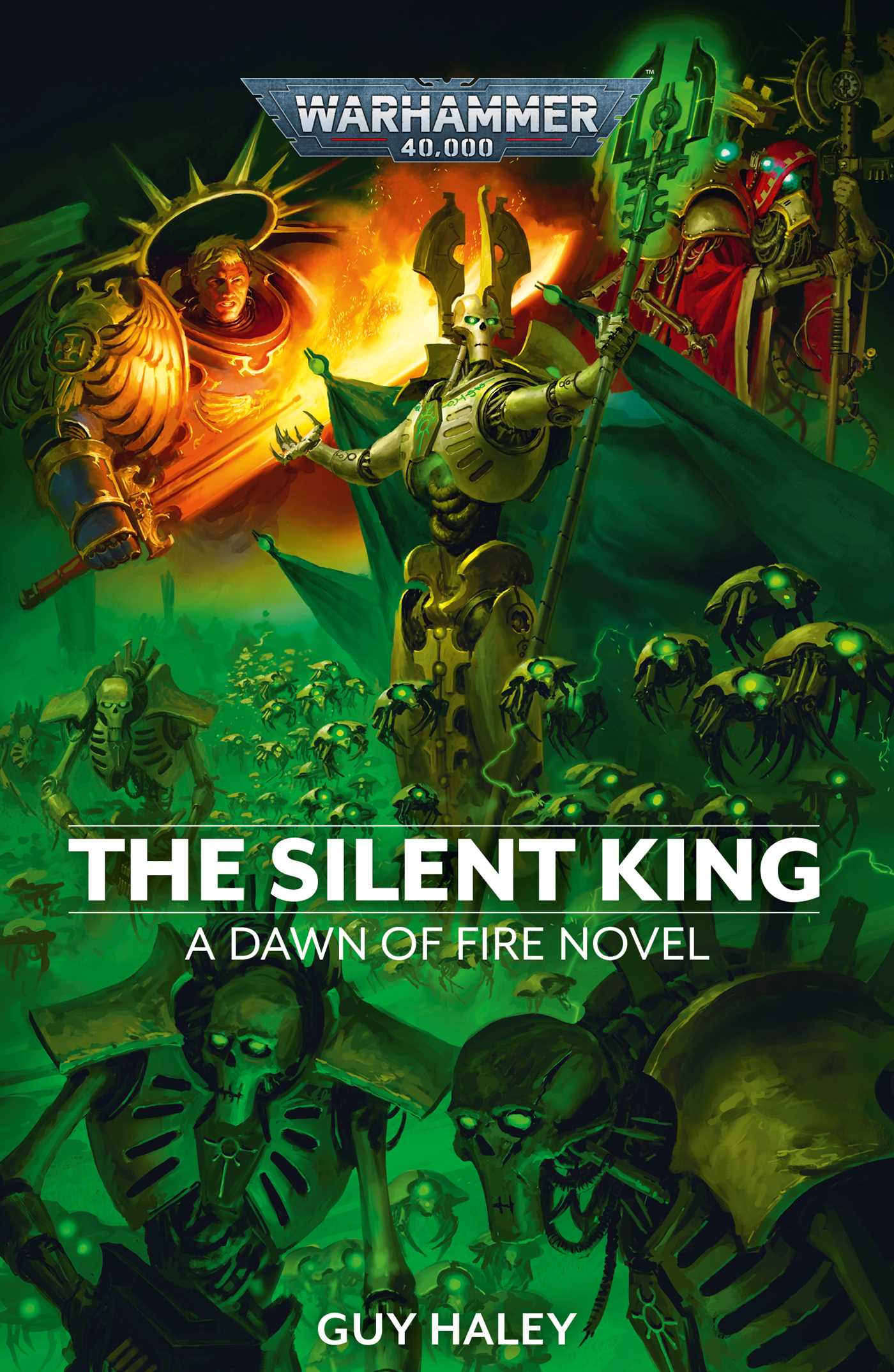 Dawn of Fire: The Silent King (PB)