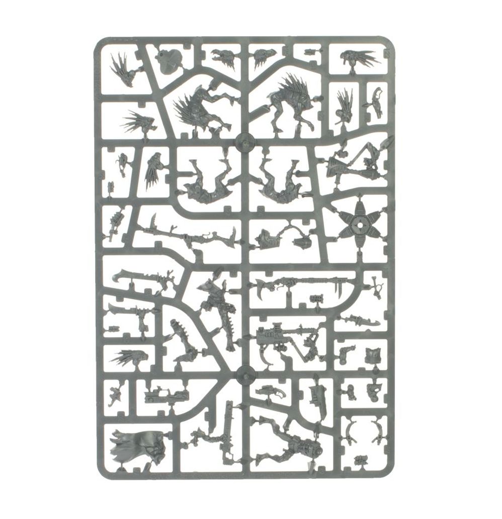 COMBAT PATROL: Kroot (2026 version)