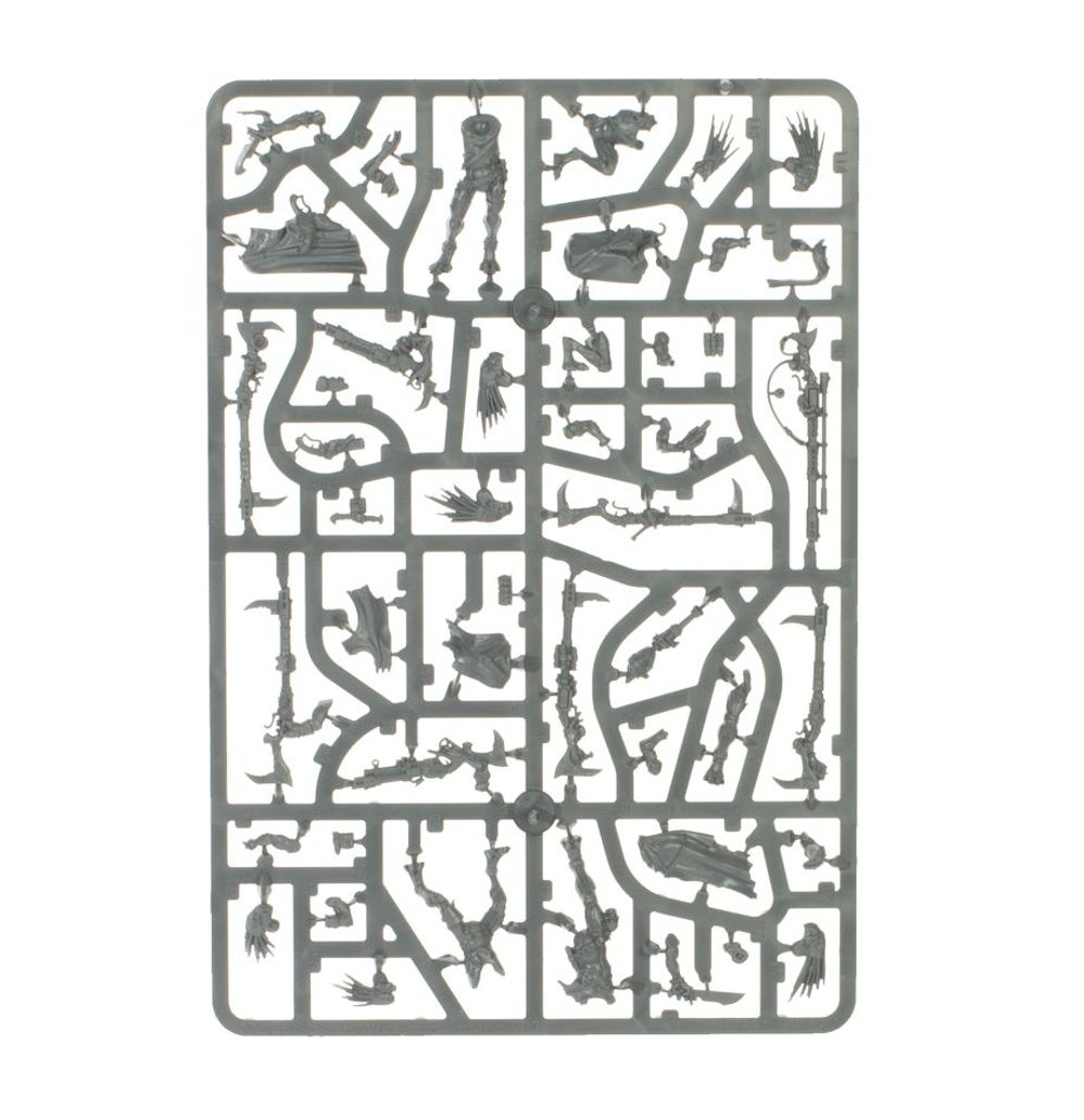 COMBAT PATROL: Kroot (2026 version)