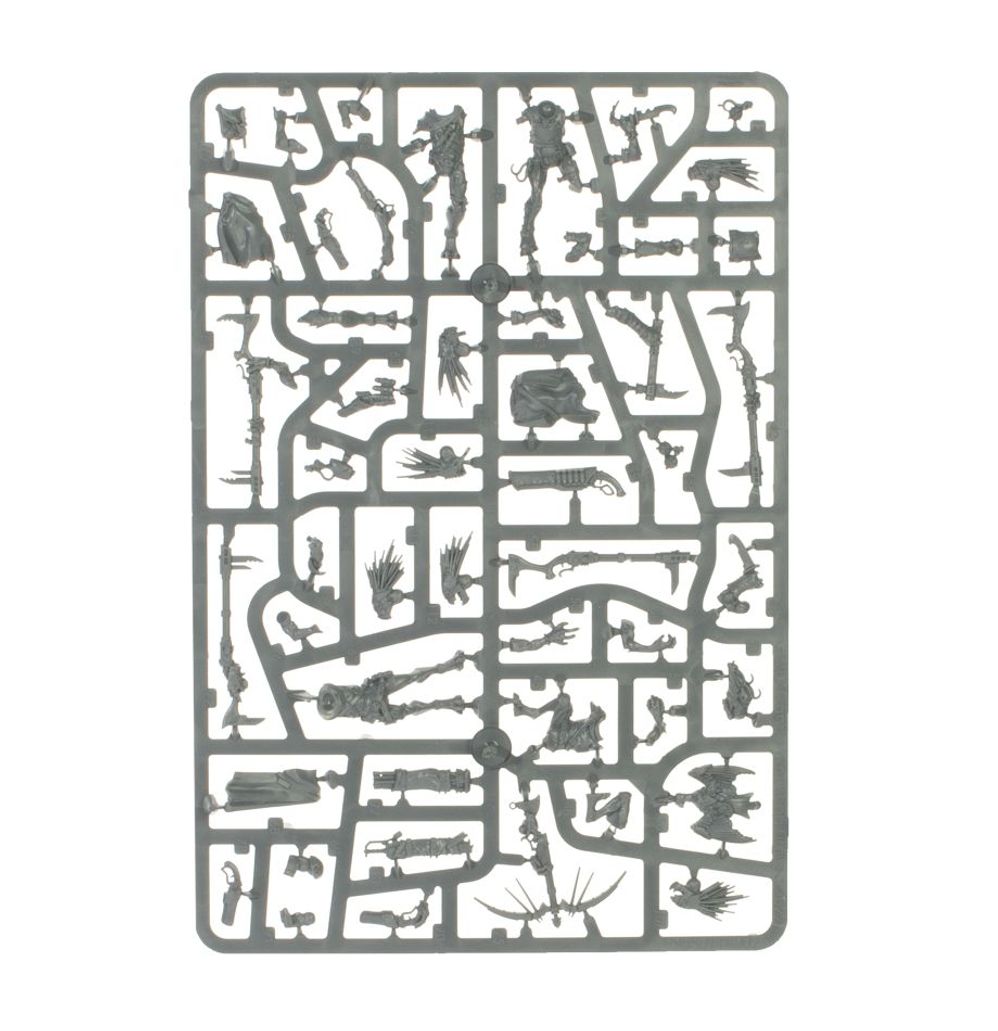 COMBAT PATROL: Kroot (2026 version)
