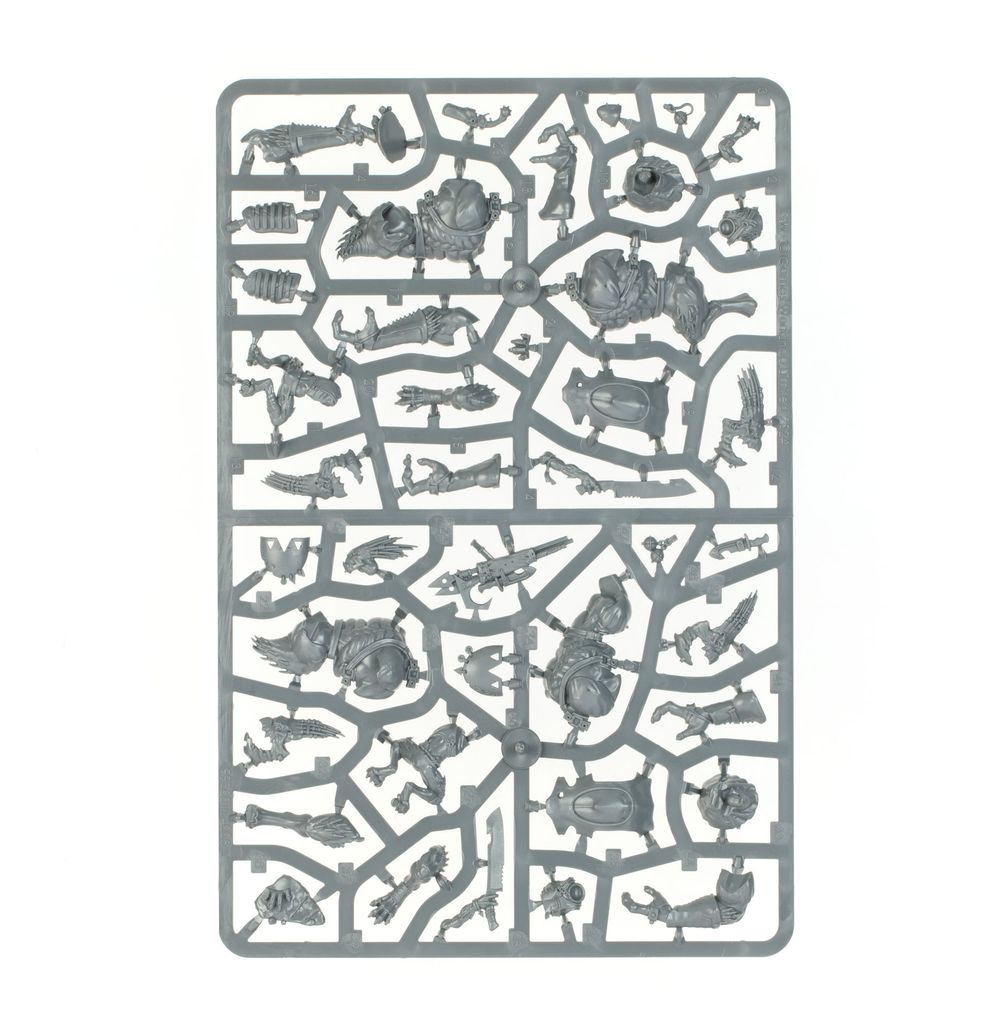 COMBAT PATROL: Kroot (2026 version)