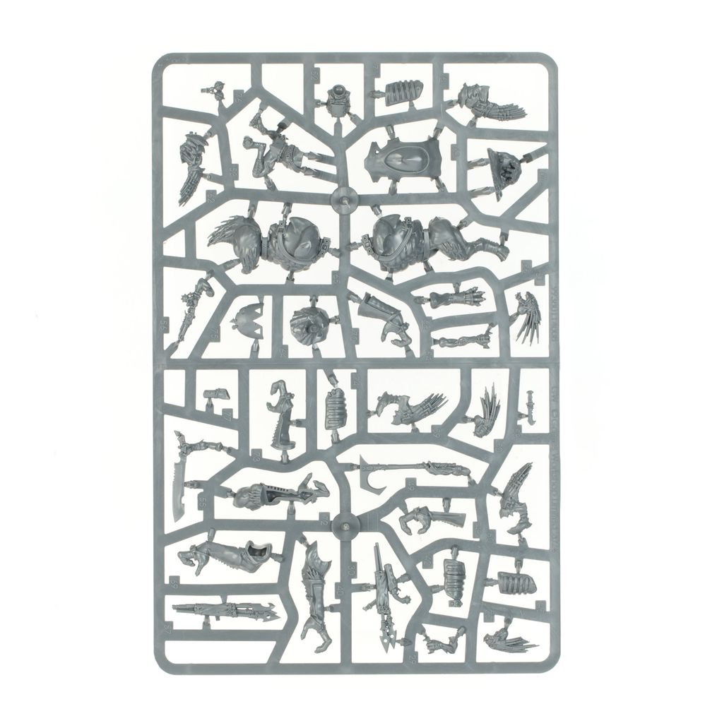 COMBAT PATROL: Kroot (2026 version)