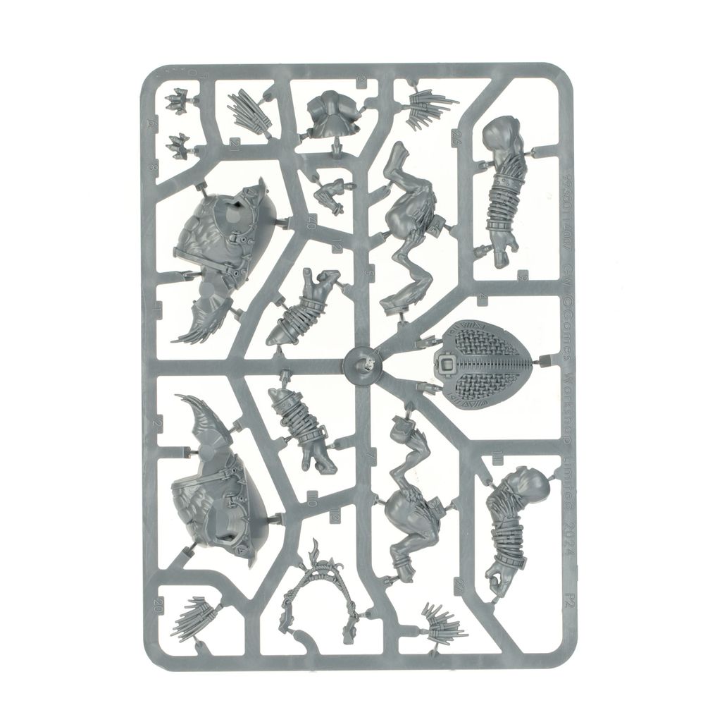 COMBAT PATROL: Kroot (2026 version)