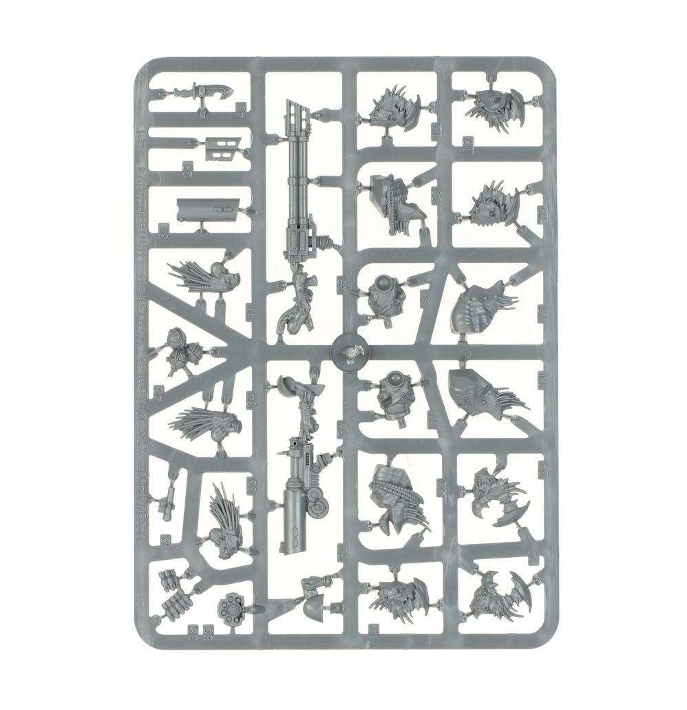 COMBAT PATROL: Kroot (2026 version)