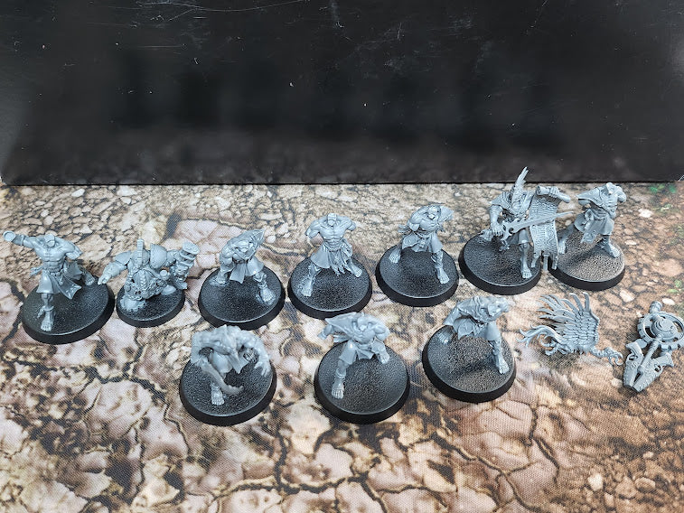 TSS0239 Stromcast Palladors x 3 + Lord exorcis + kairic acolytes x 10 + Liberators x 5