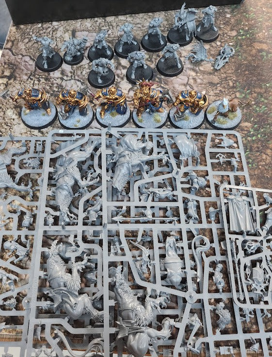 TSS0239 Stromcast Palladors x 3 + Lord exorcis + kairic acolytes x 10 + Liberators x 5