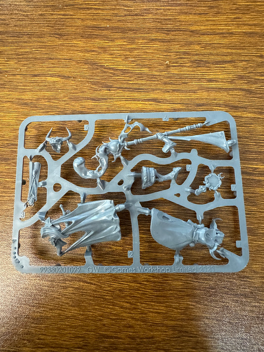 TSS0708 Hedonites of Slaanesh (sprue)