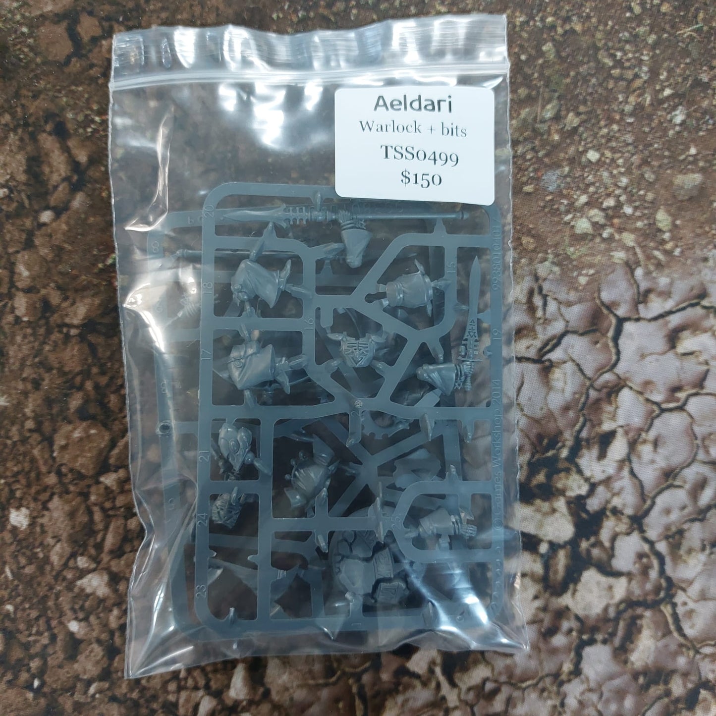 TSS0502 Dark Elf Dark Elf Pirate