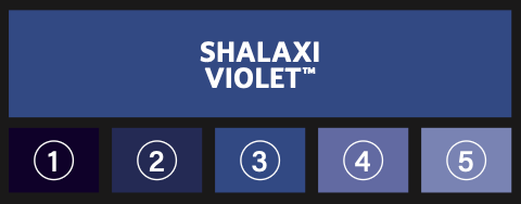 Tone Pro: Shalaxi Violet