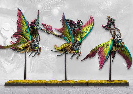 Weaver Courts: Sciathan Riders (pronounced Shkee-haan)