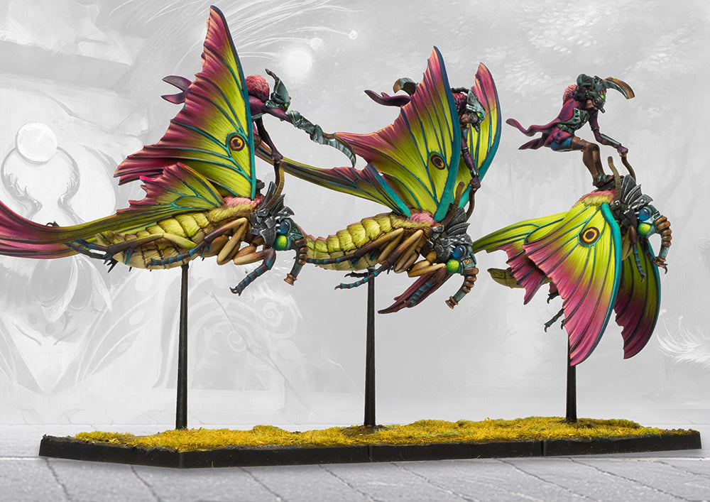 Weaver Courts: Sciathan Riders (pronounced Shkee-haan)