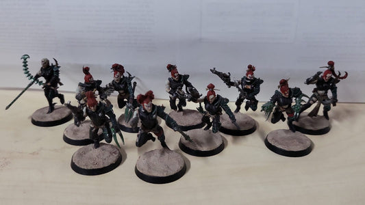 TSS0293 Drukhari Wyches x 10