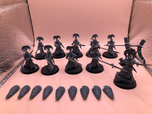 SSS633 AOS Vanari Auralan Wardens x9, Champion x1